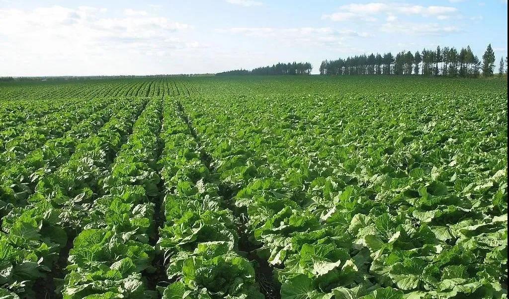 1619142401180708.jpg 1619142401180708.jpg