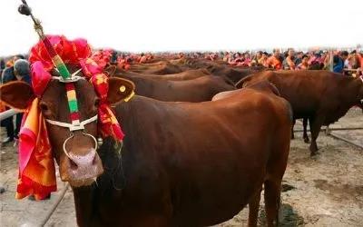 1626227335703432.jpg 1626227335703432.jpg