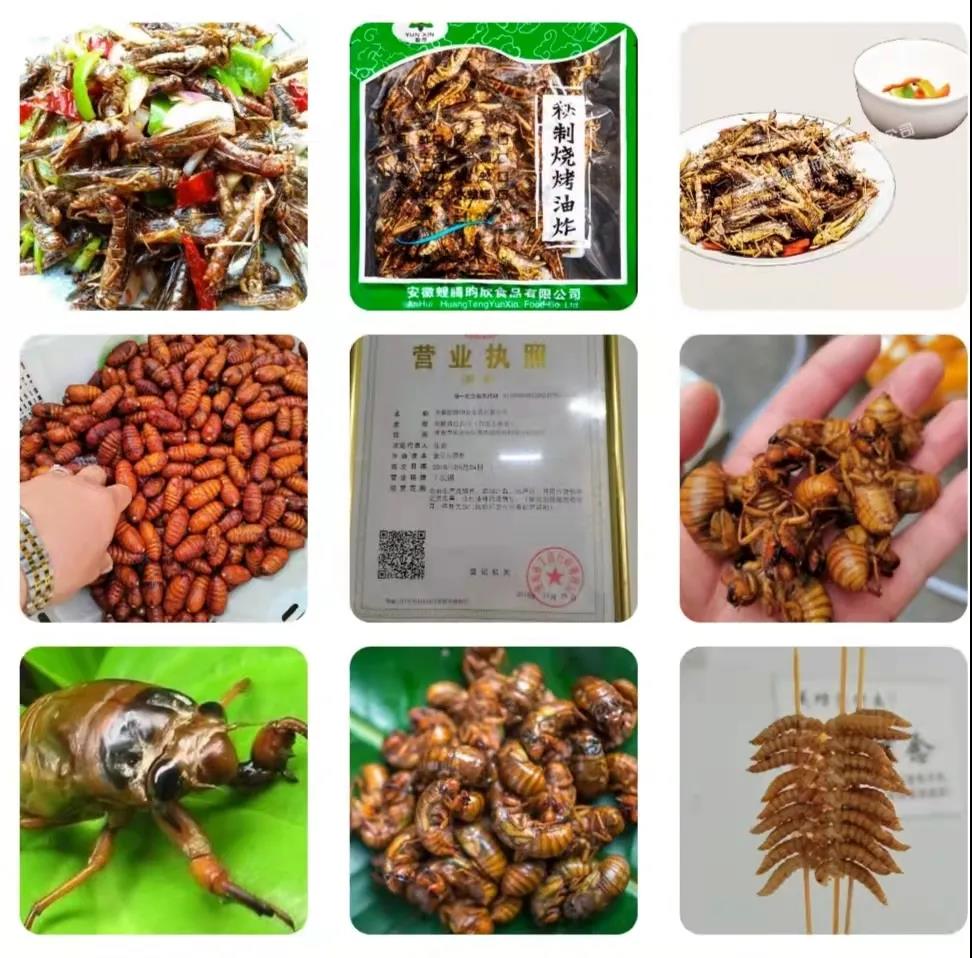 1644826692470303.jpg 1644826692470303.jpg