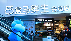 盒馬“移山”，山姆“殺馬”？會員制商超打起來了！