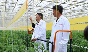 馬家廚房？馬家秘制老鴨煲？馬云的“假動作”為何讓市場興奮？