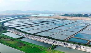 從魚塘到餐桌6重把控，半天妖攜手恒興“定向”養好一條魚