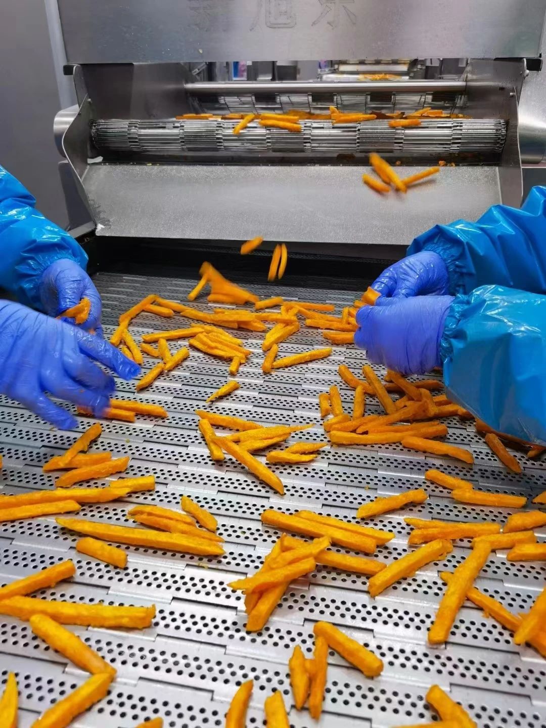 1716781164734506.jpg 1716781164734506.jpg