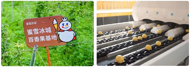 1740970066408299.png 微信截圖_20250303104207.png